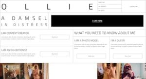 Sleek, professional website design