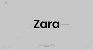 Zara one-page demo
