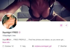 Fansite website free profile demo