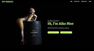 adult NFT’s Store Website